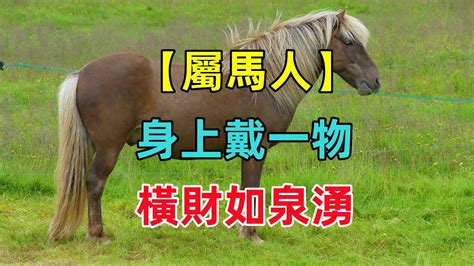 屬馬可以戴黃金嗎|屬馬能戴黃金嗎？了解黃金與生肖的關係